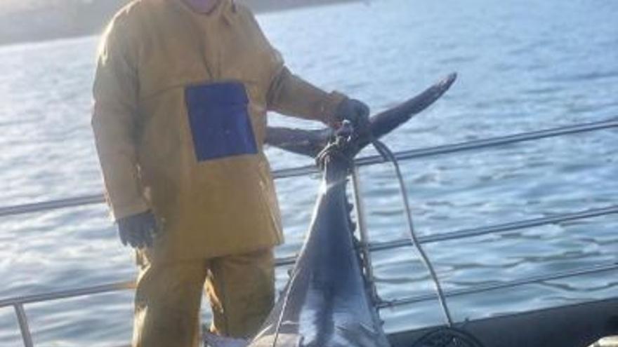 Animales XL en las rías: del atún rojo de 300 kg a un &#039;ejército&#039; de 150 delfines
