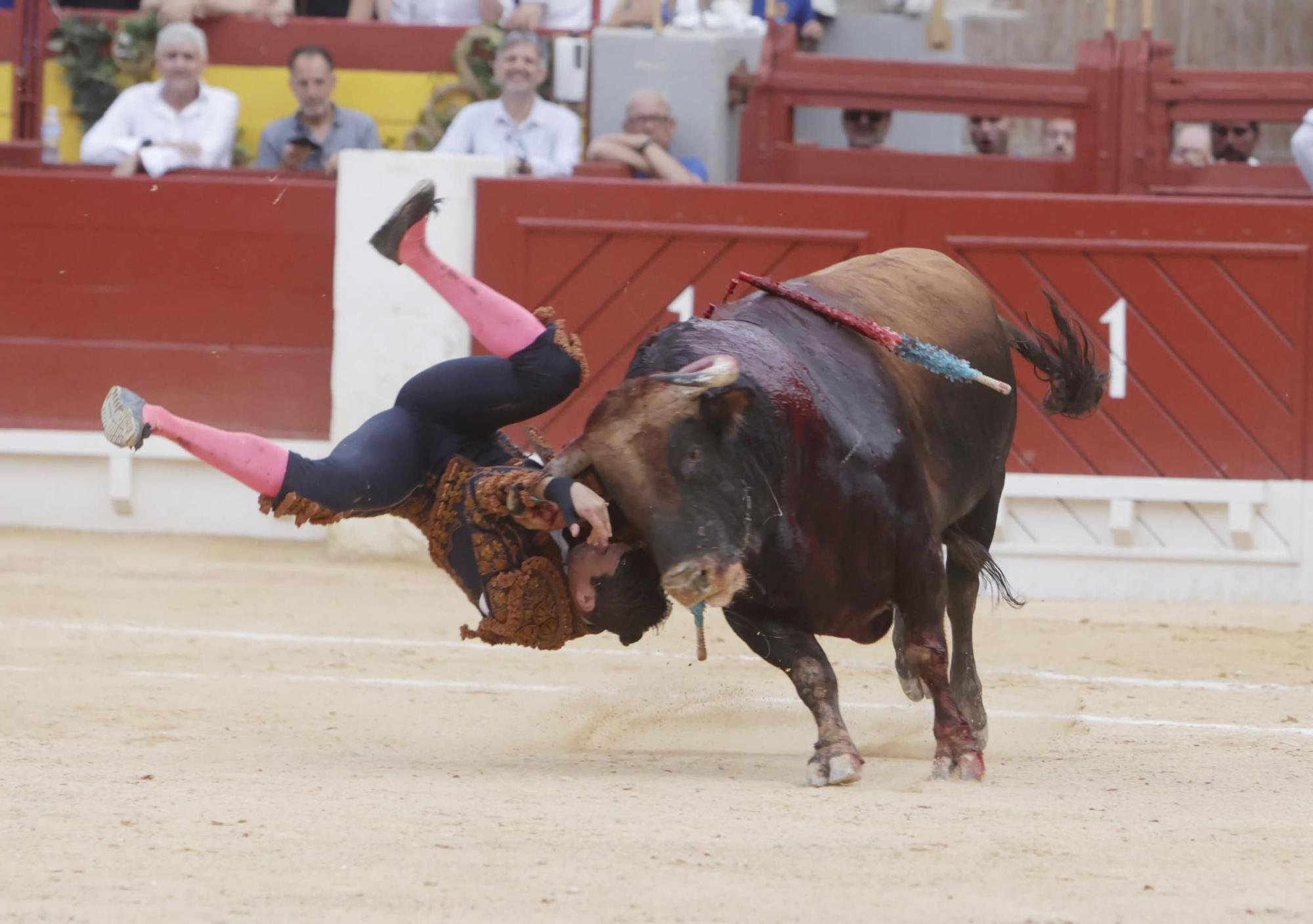 Susto en el cuarto toro de Manzanares en la Feria de Hogueras 2025