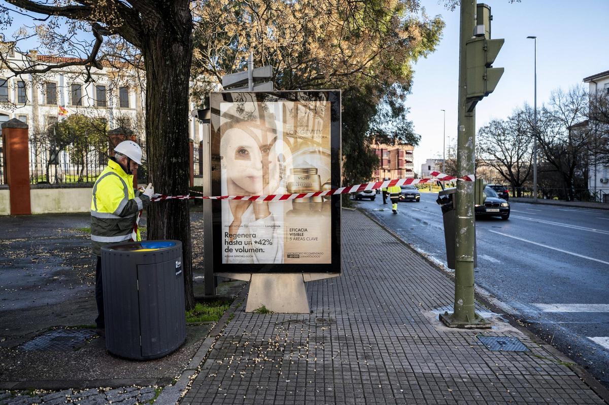 Fotogalería | El temporal en Cáceres, más imágenes