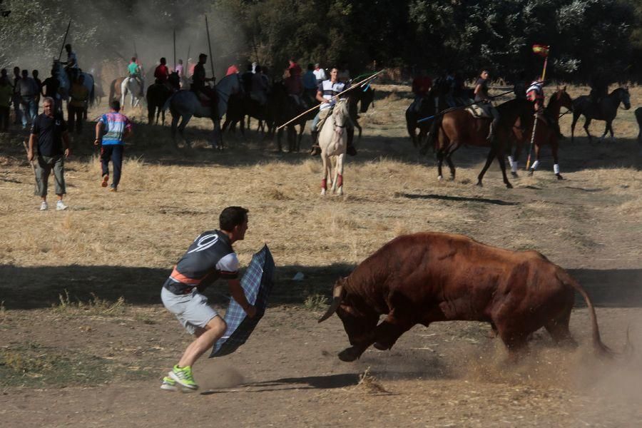 Encierro mixto en San Miguel de la Ribera