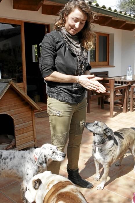 Seit über 30 Jahren betreibt Josefi na Vivancos in Pollença ein Hundeasyl. Zum Tierschutz kam die Mallorquinerin eher zufällig. Heute lebt sie mit 40 Hunden auf einer Finca und hat Hunderten von Vier