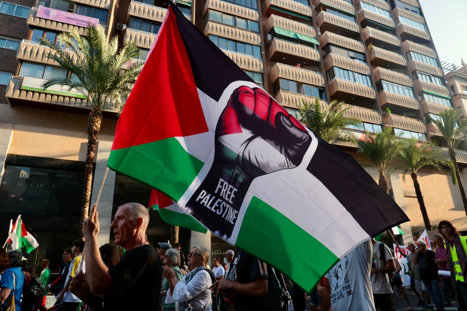 Más de 80 colectivos de Alicante se manifiestan a favor de Palestina