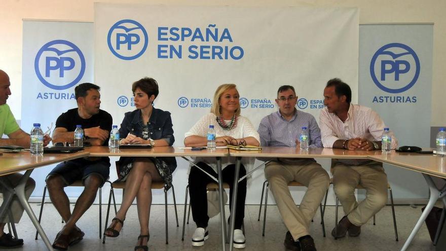 Mercedes Fernández dice que el PP está &quot;en auge&quot; y el PSOE &quot;en fin de ciclo&quot; en Asturias