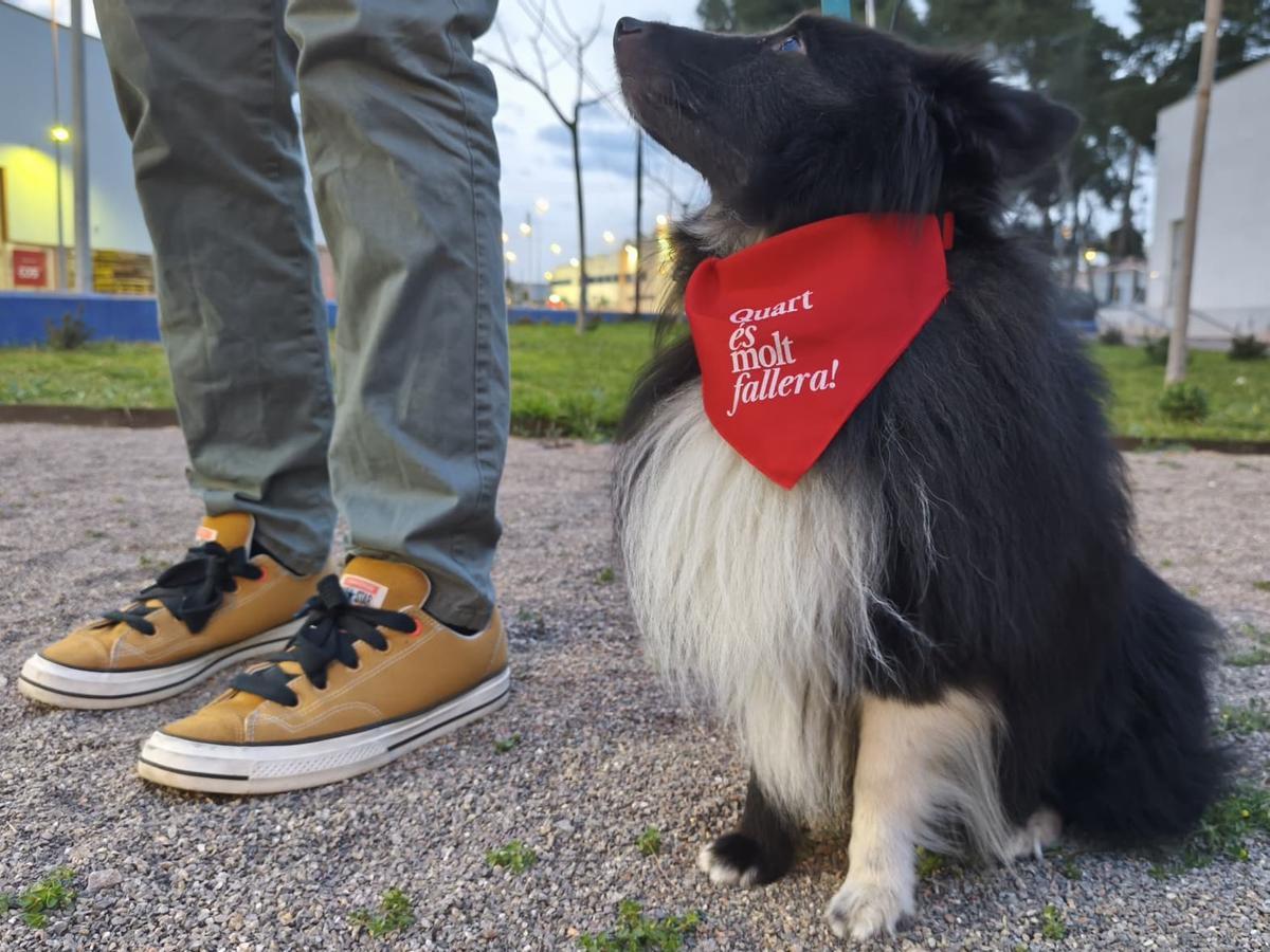El Área de Bienestar Animal reparte pañuelos identificativos para los perros.