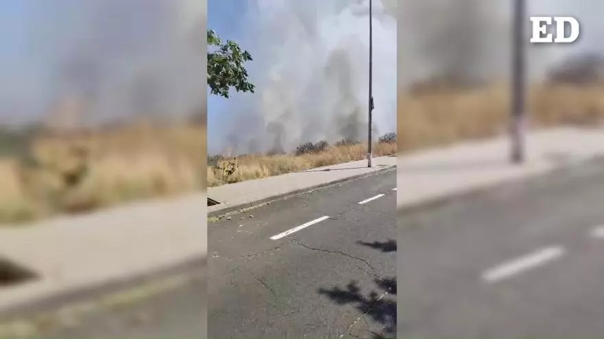Un incendio de rastrojos obliga a cortar una calle en Santa Cruz de Tenerife