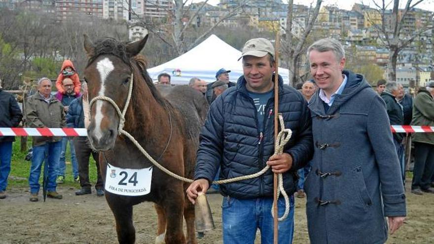 La Fira Ramadera reuneix un centenar d&#039;exemplars en el concurs de bestiar