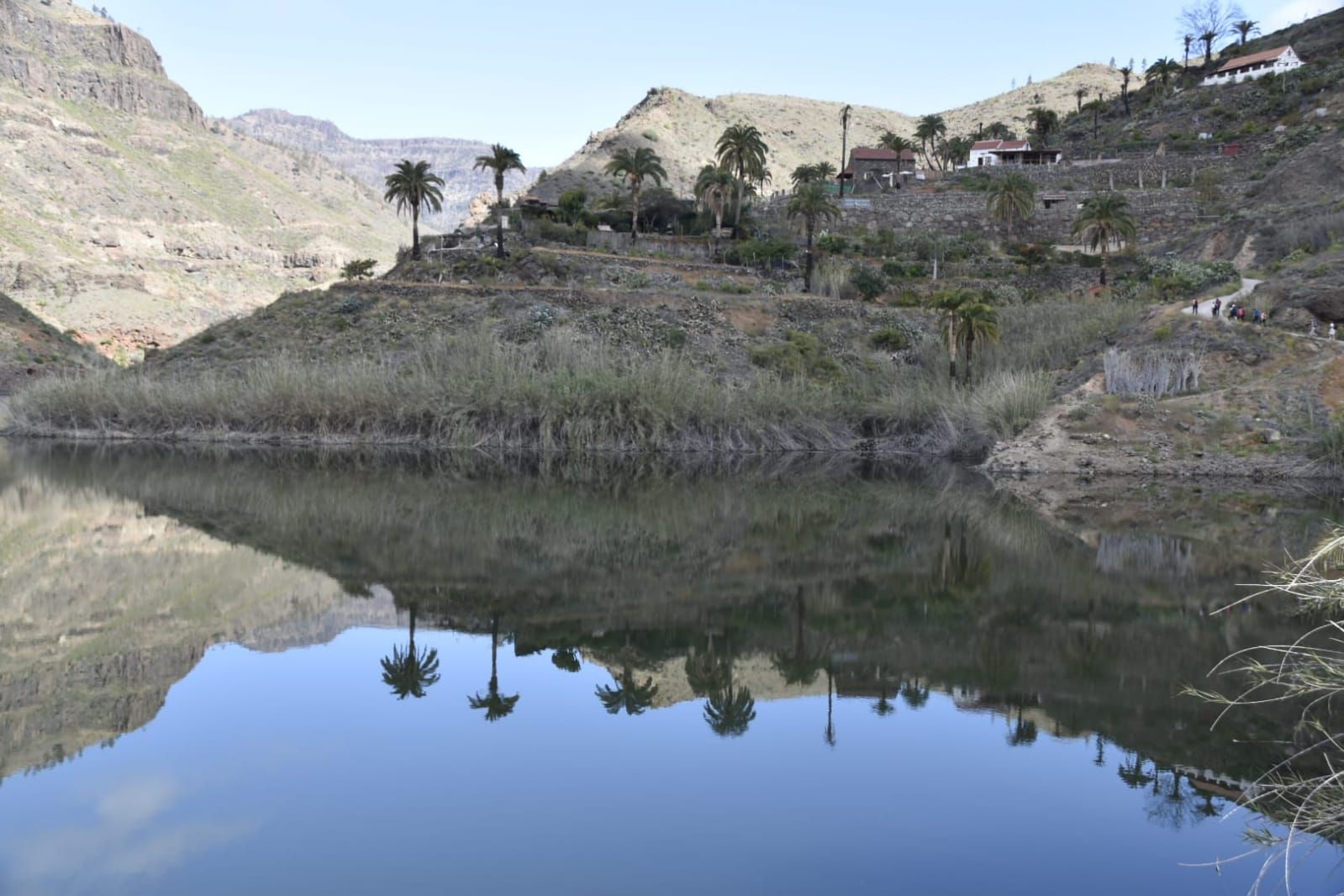 La primavera en Gran Canaria