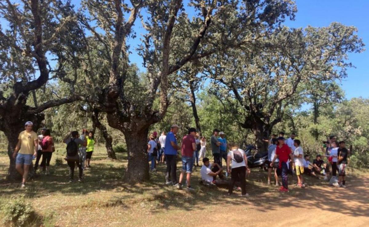 Convivencia para la formación