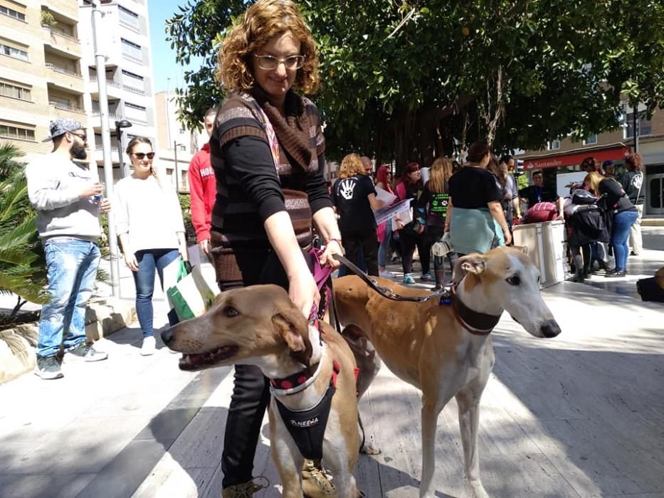 Protesta de las proetoras de Torrent.