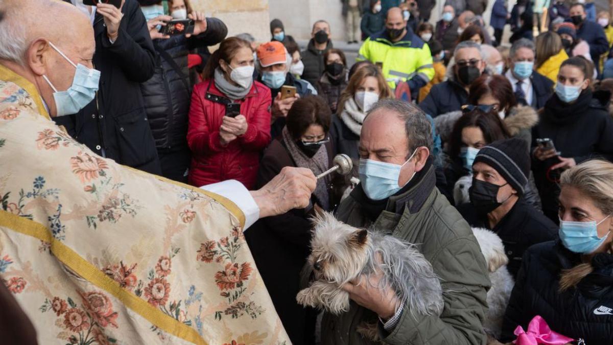 Los propietarios esperan la bendición de las mascotas. | J.L.F.