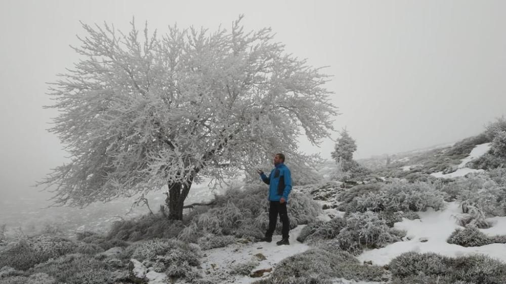 La Sierra de las Nieves