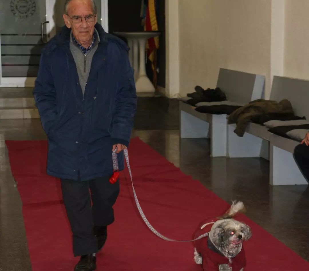 Nombramientos caninos en la falla Joaquín Costa-Burriana