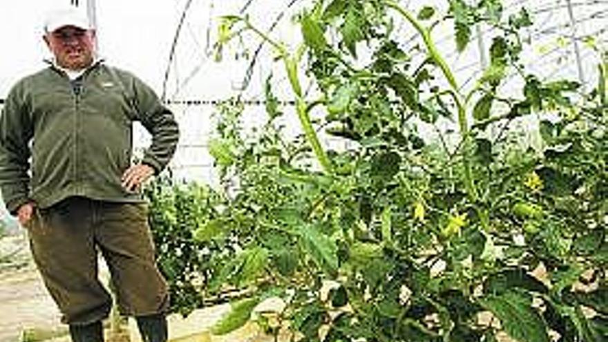 Manuel Antonio Lorenzo y su hermano Roberto, ayer, en su explotación agrícola en Les Cabañes.