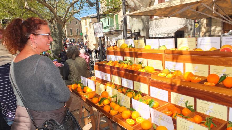 Las naranjas son las auténticas protagonistas de la feria de Sóller.