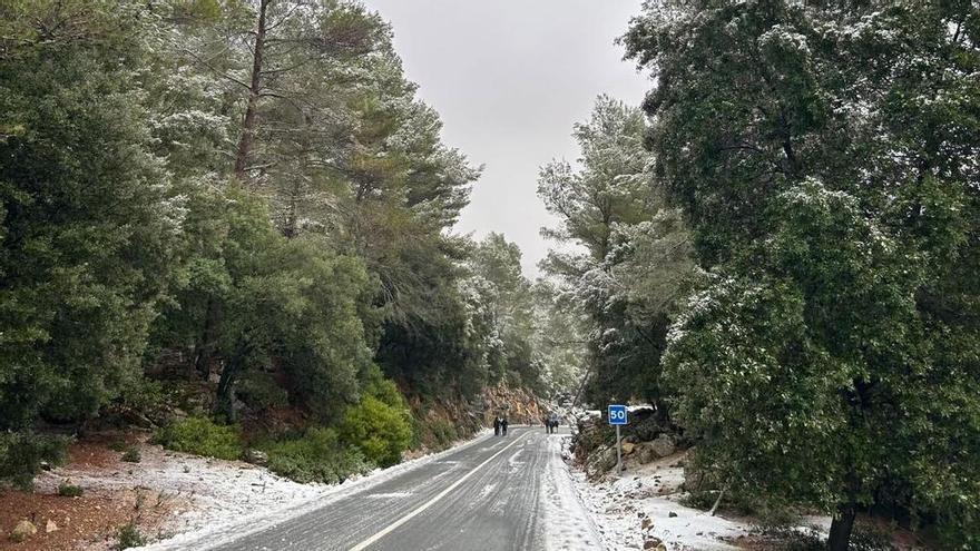 Las fotos de la nieve en Mallorca de nuestros lectores