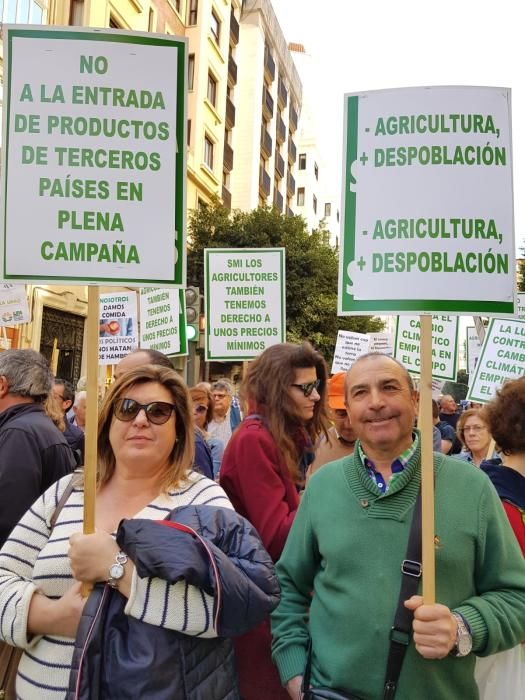 Los productores reclaman al Gobierno soluciones para acabar con la crisis del sector y garantizar la supervivencia de la agricultura