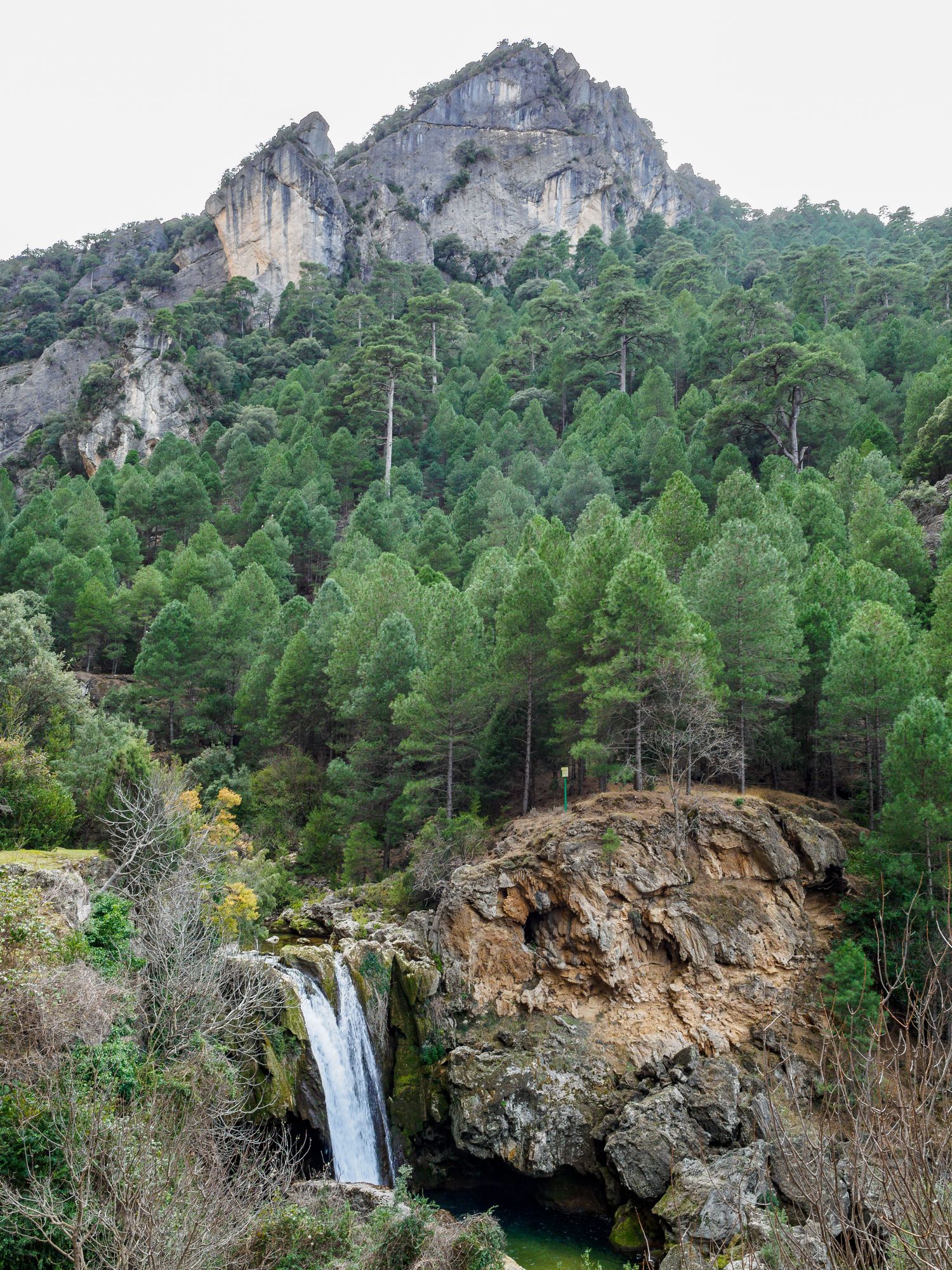 Río Borosa en la sierra de Cazorla.