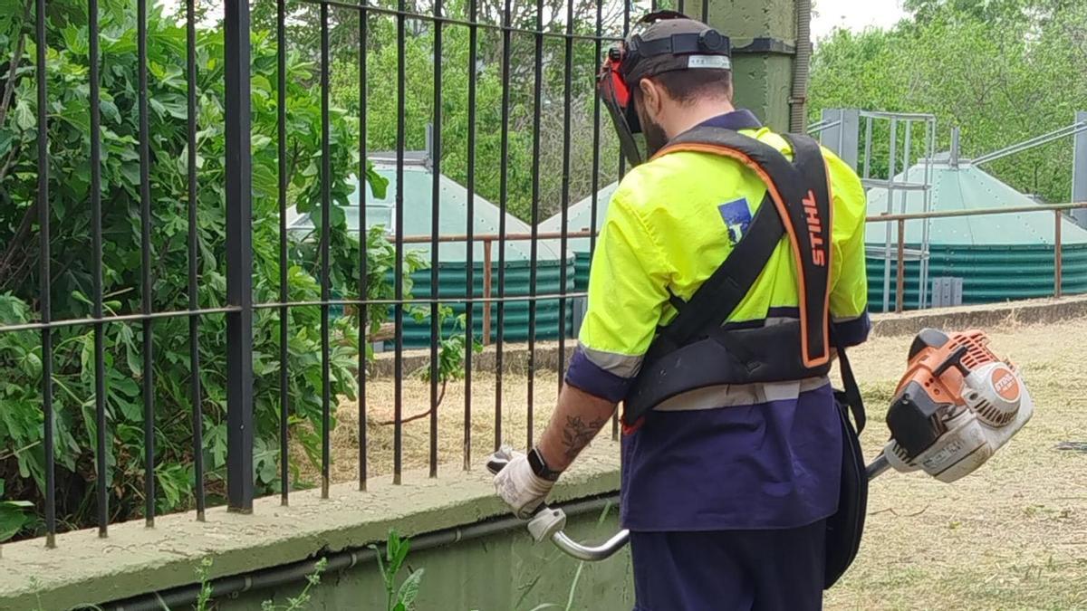 Cristian trabaja como jardinero en el zoológico de Córdoba para la empresa Licuas.