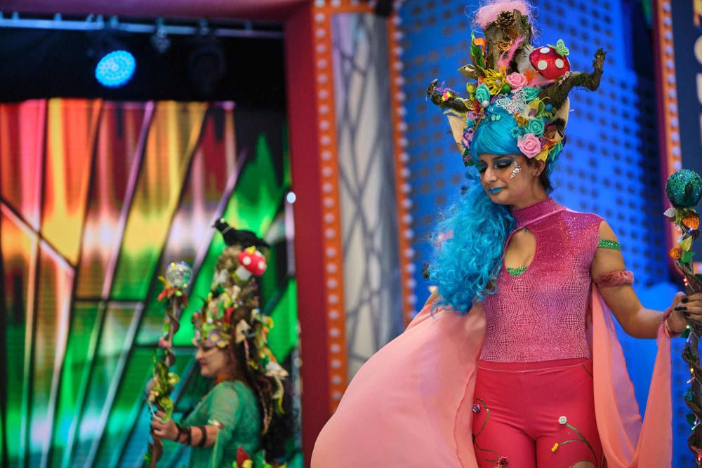 Fotos de los ganadores y de todos los participantes en el Concurso de Disfraces del Carnaval de Santa Cruz de Tenerife.  | 16/02/2020 | Fotógrafo: Andrés Gutiérrez Taberne