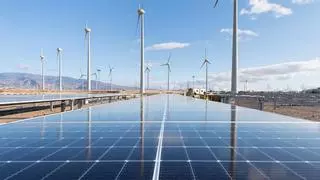 'Sorpasso' histórico verde: las grandes plantas solares desbancan a la eólica y ya son la energía con más potencia de España