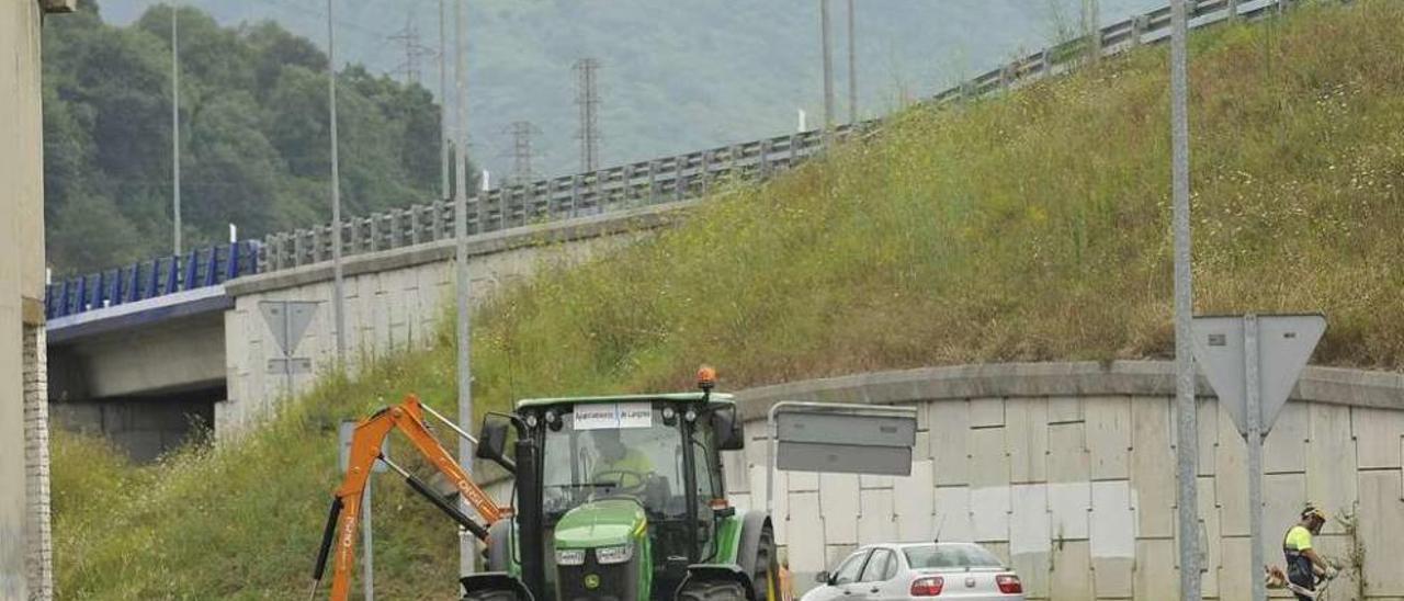 Labores de desbroce por personal municipal en Lada.