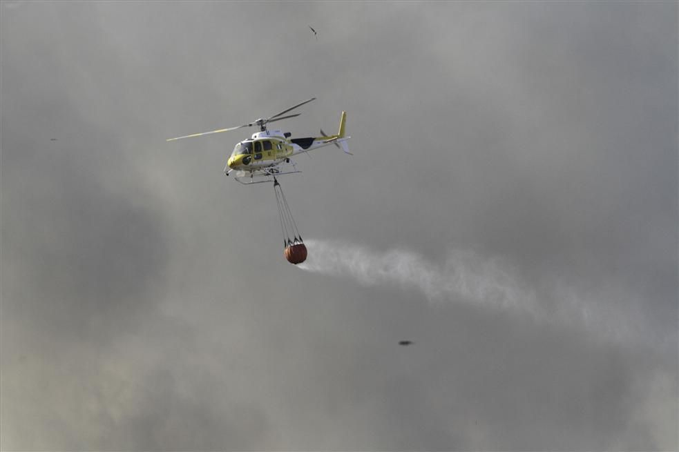 Incendio forestal en Cáceres