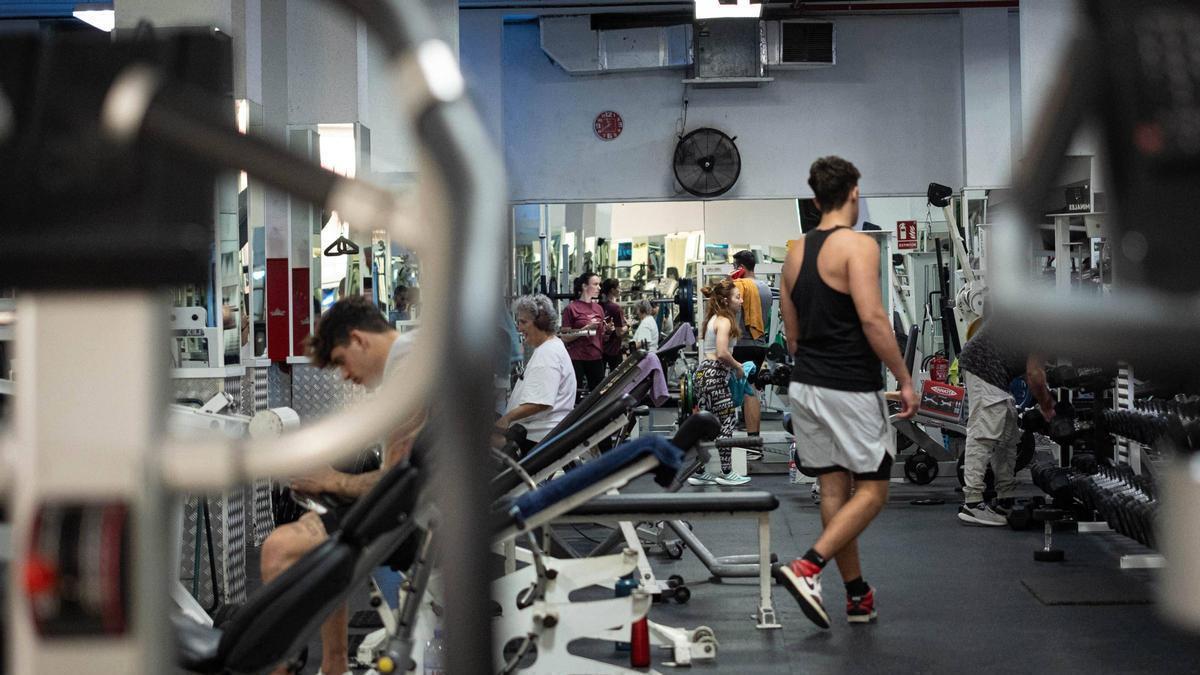 Personas entrenando en un gimnasio, una de las actividades más practicadas en Tenerife.