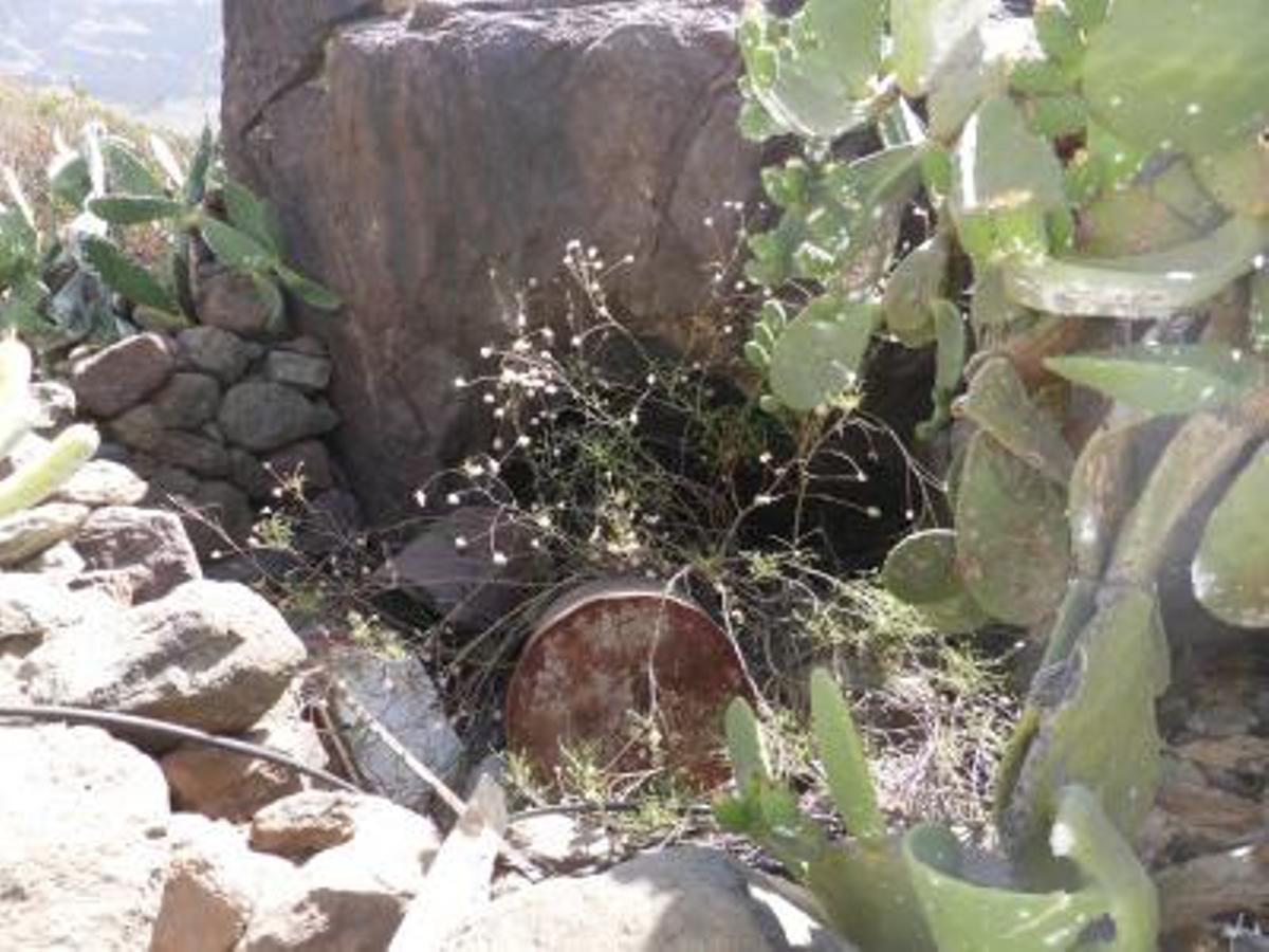 Cueva de la caja del palillo de Tasarte