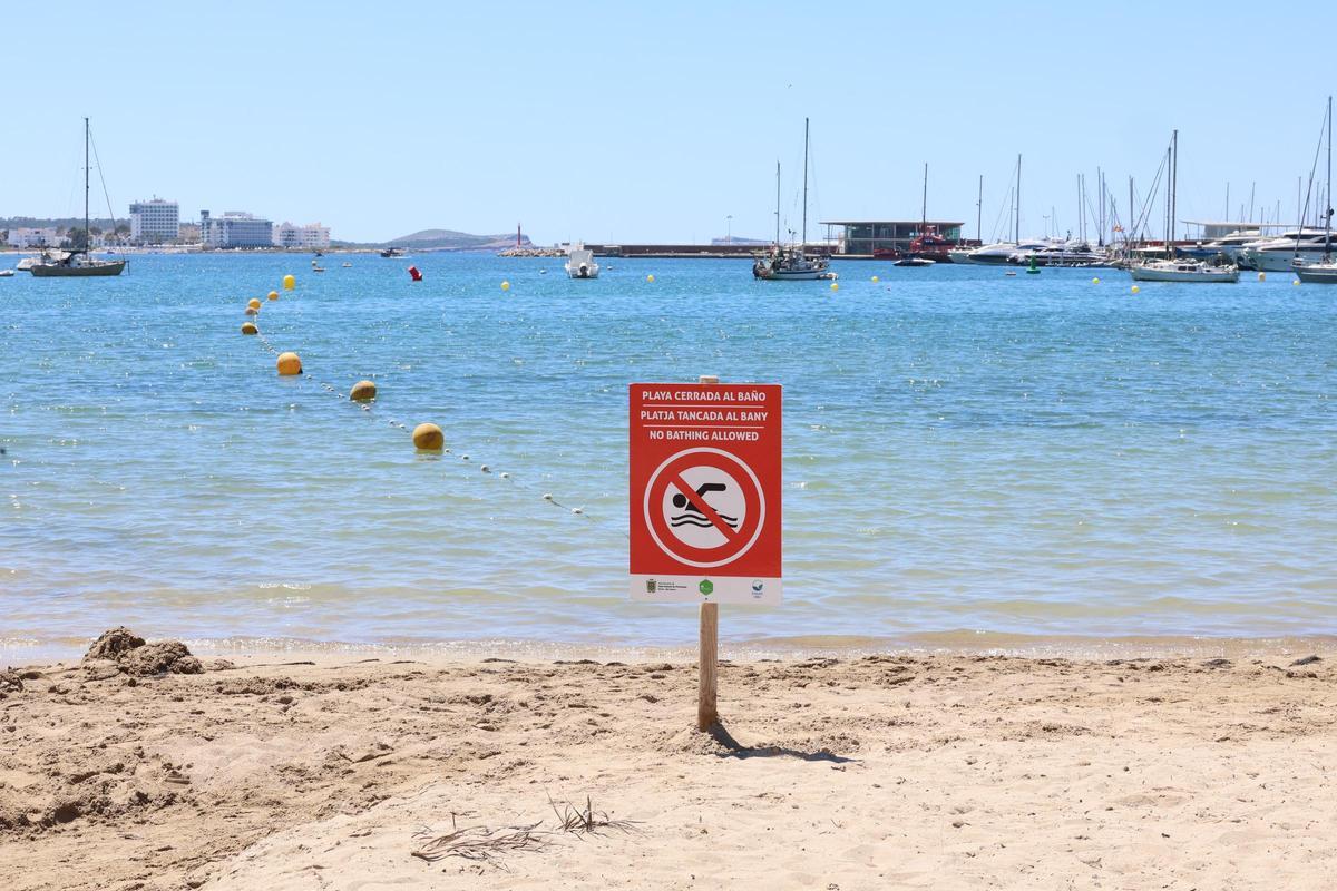 Galería: cerrada una playa de Ibiza tras detectarse un vertido de aguas residuales provocado por la rotura de una tubería