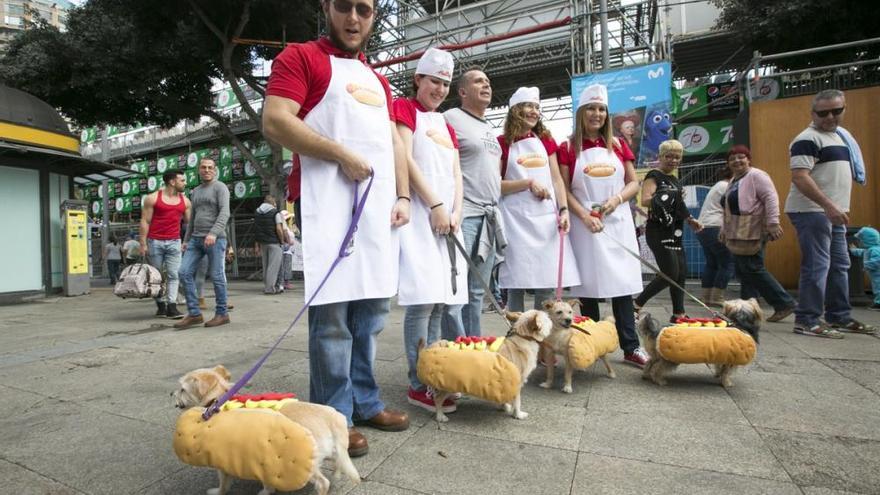 Carnaval de Las Palmas de Gran Canaria 2017: Carnaval Canino