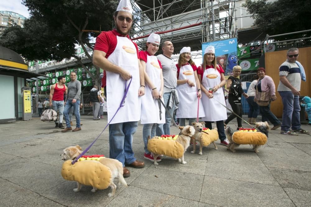 Carnaval de Las Palmas de Gran Canaria 2017: Carnaval Canino