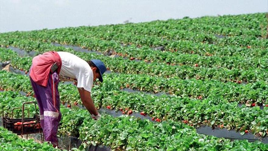 Campamento Dignidad pide inspectores de trabajo en el campo