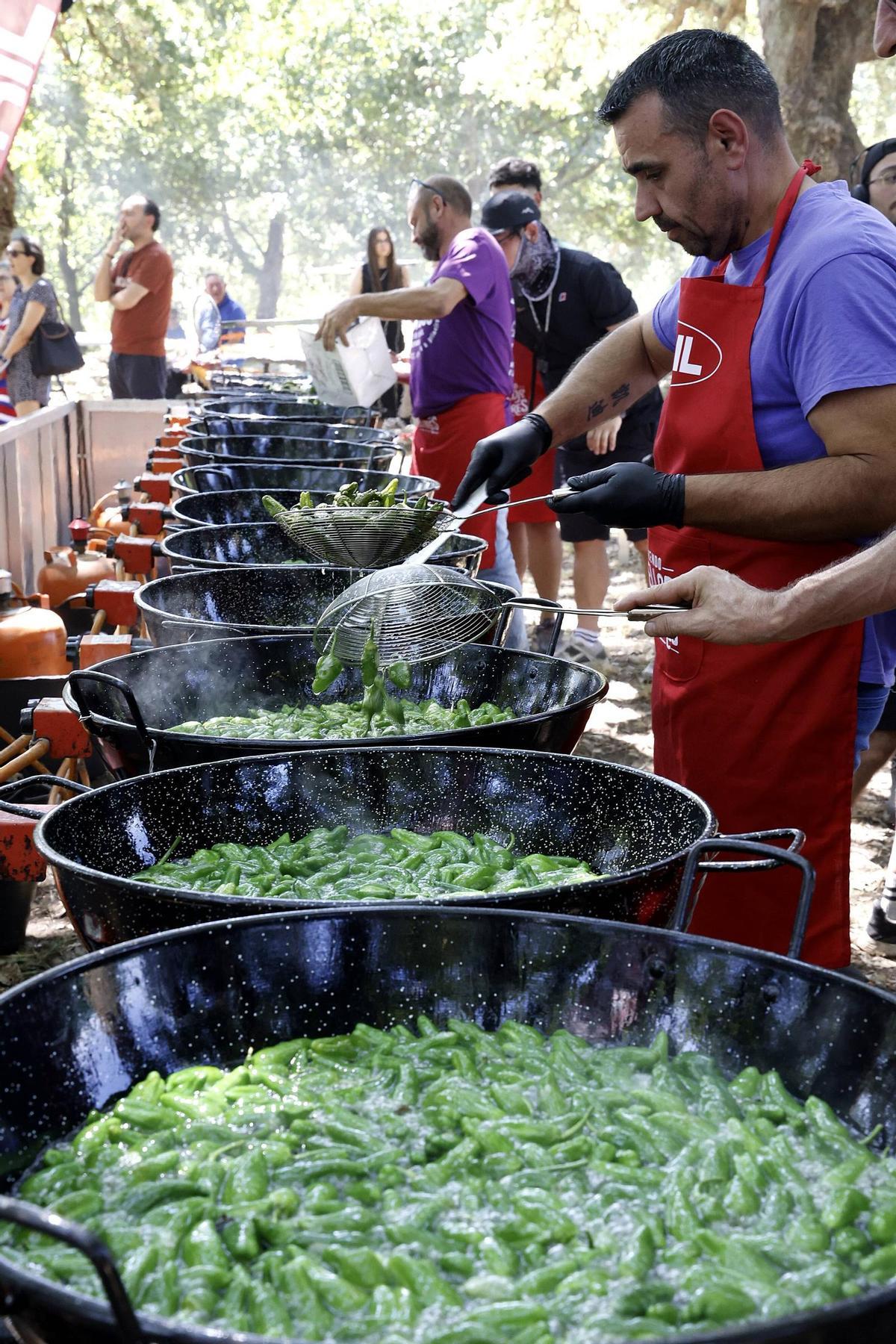 Padrón se rinde al pimiento de Herbón: 3.000 raciones para una fiesta multitudinaria Padrón se rinde al pimiento de Herbón: 3.000 raciones para una fiesta multitudinaria