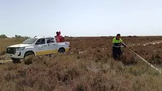 Torreblanca y Almenara combaten els mosquits