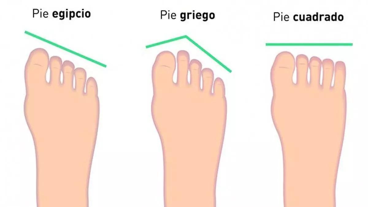 Tipos de pies.