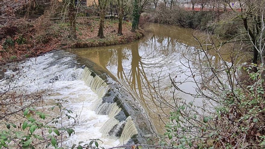 Una imatge del Fluvià al seu pas per Olot.