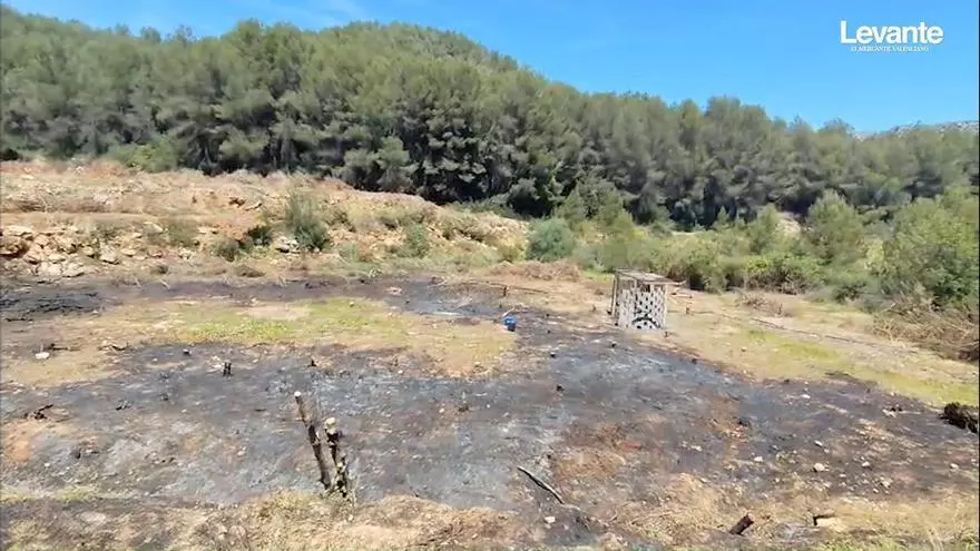 Alzira reclamará responsabilidades penales por el incendio provocado por una quema en Valletes de Gallo