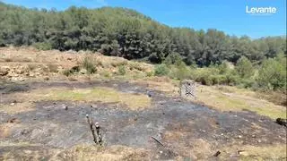 Alzira reclamará responsabilidades penales por la quema que puso en riesgo un pulmón verde de la Serra de les Agulles