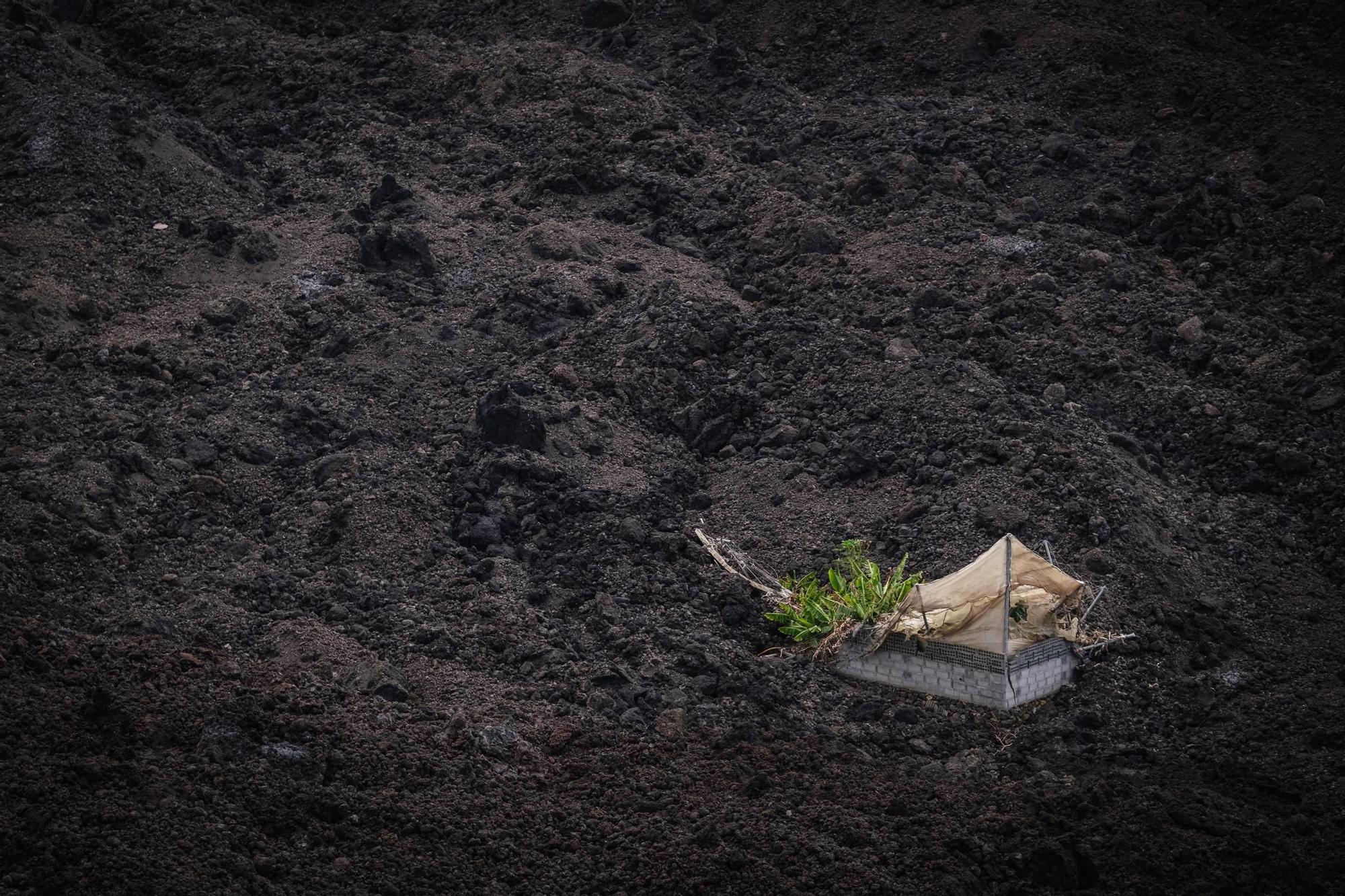 La erupción del volcán de La Palma, en imágenes