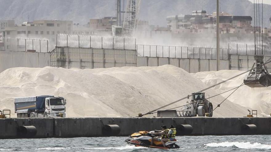 Descarga de graneles en el Puerto en una imagen reciente