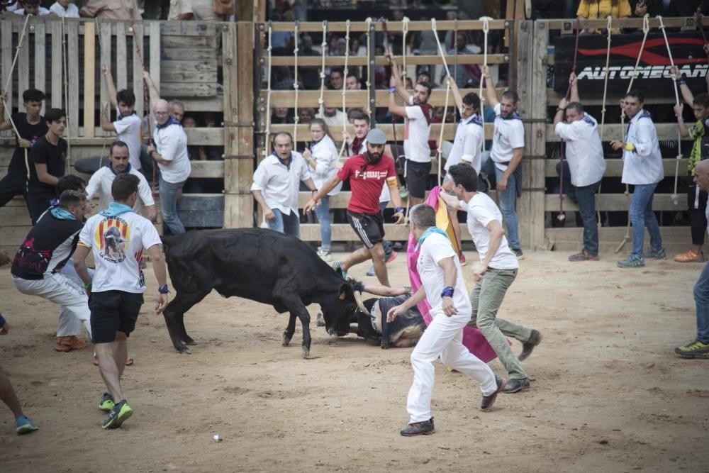 Corre de bou de diumenge a Cardona