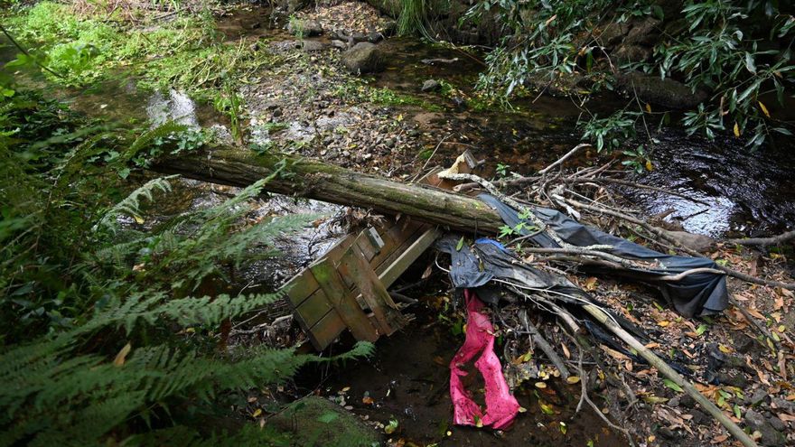 Un banco y un árbol derrumbados en el cauce del río. | Rafa Vázquez