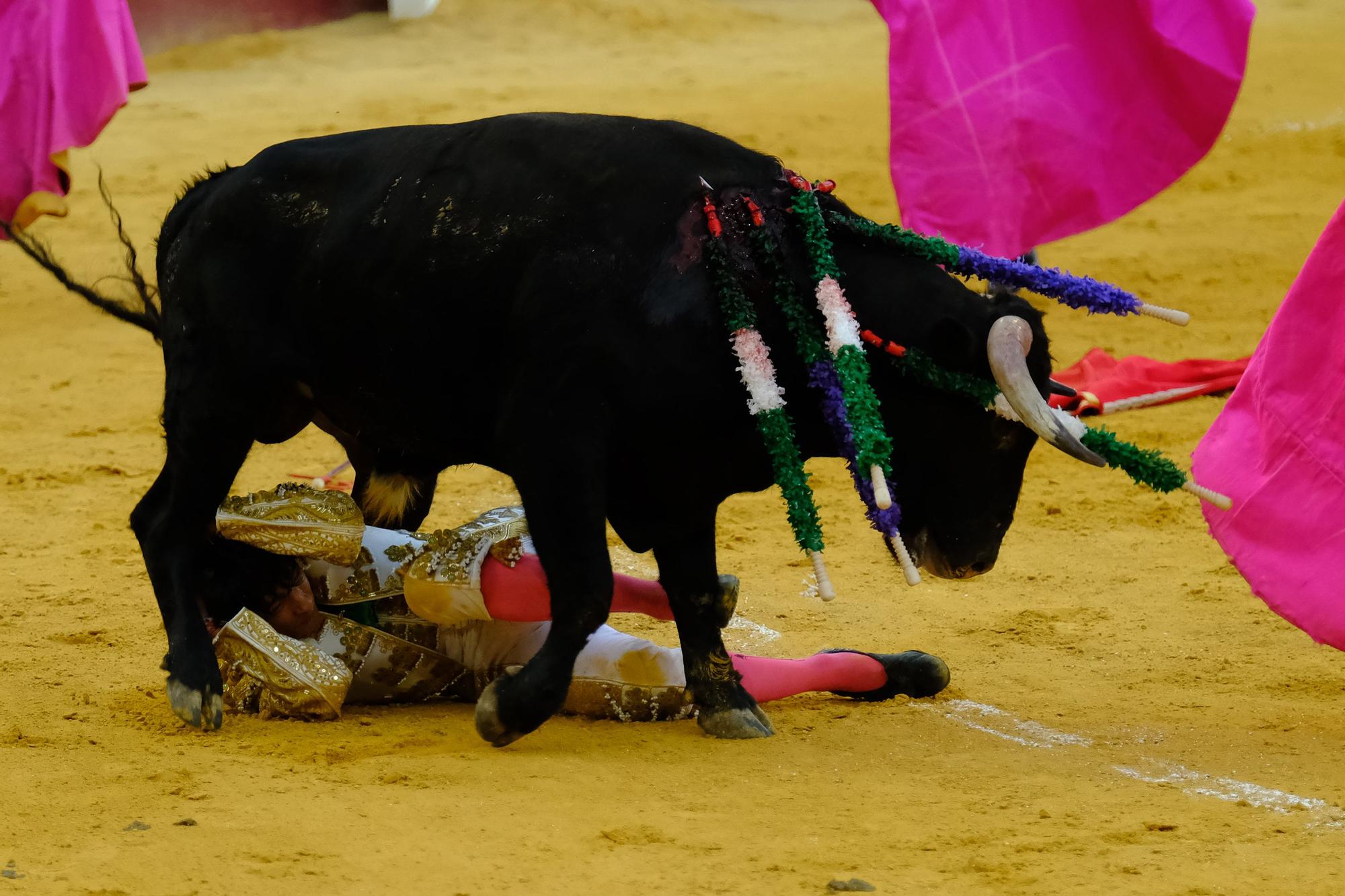 Toros en la Feria I Séptima corrida de abono en la Malagueta