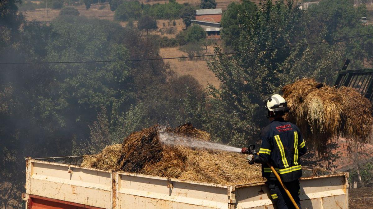 Equipos mojan las alpacas incendiadas para evitar la propagación. | J. L F.