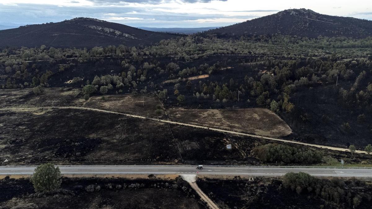 Superficie calcinada en el incendio forestal de la reserva de la Sierra de la Culebra.