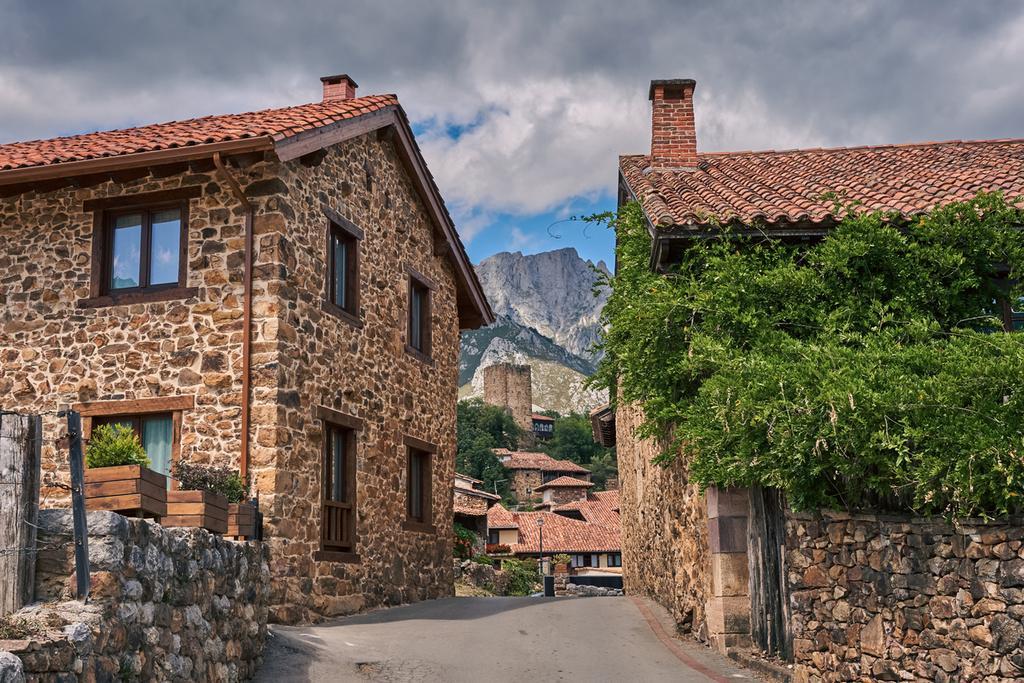 Casas de Mogrovejo con los Picos de Europa al fondo
