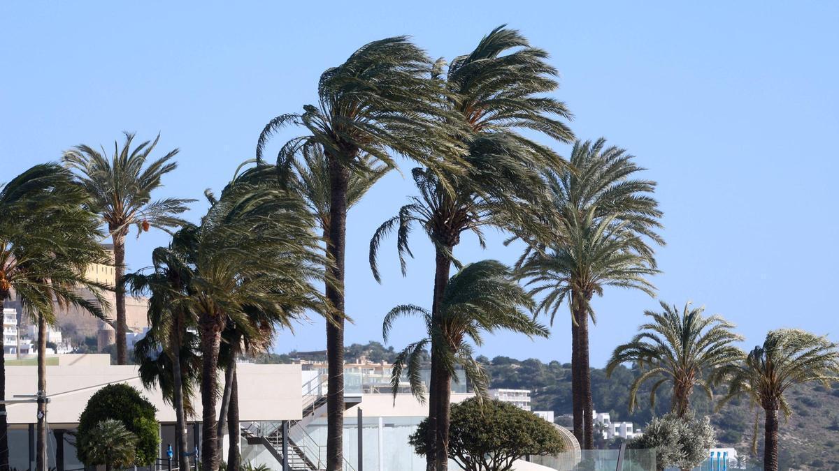 Temporal en Platja d'en Bossa.
