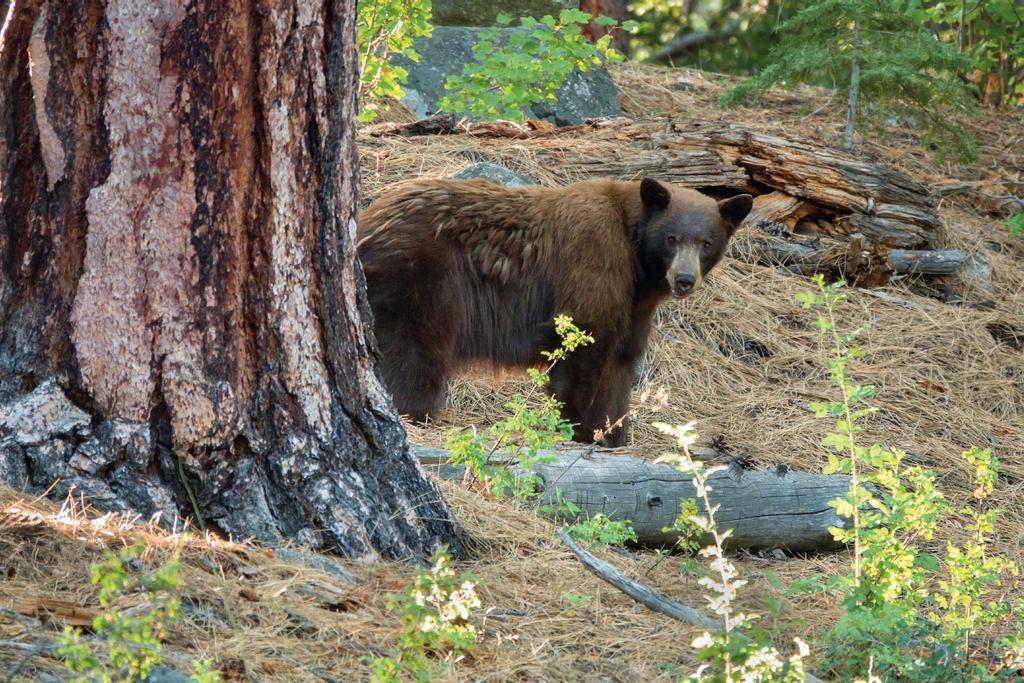 El estado de Montana, en Estados Unidos, le sirvió para aprender una importante lección.
