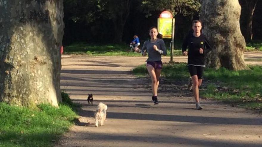 Dueños de perros en Castrelos: "El parque es público, no es una pista de atletismo"