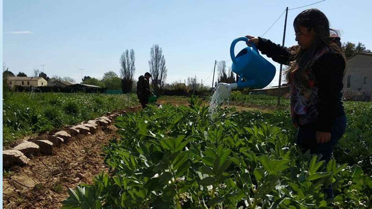 Una joven riega los cultivos en una explotación agraria en Sant Boi.